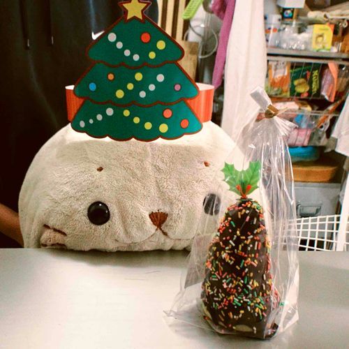 ちょこころねのつりー？！