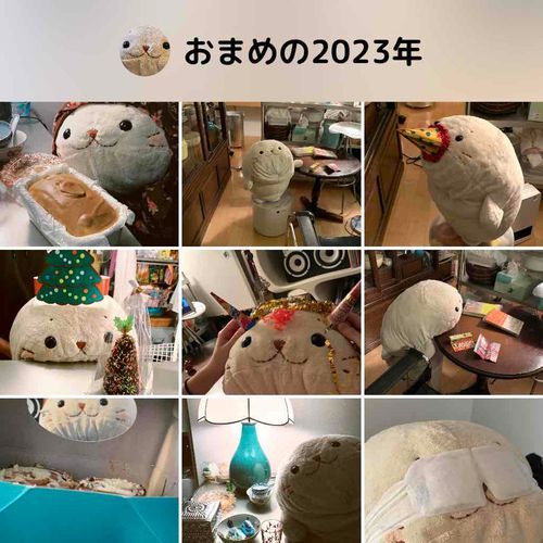 ふわもこのみんな、らいねんもよろちくなっ