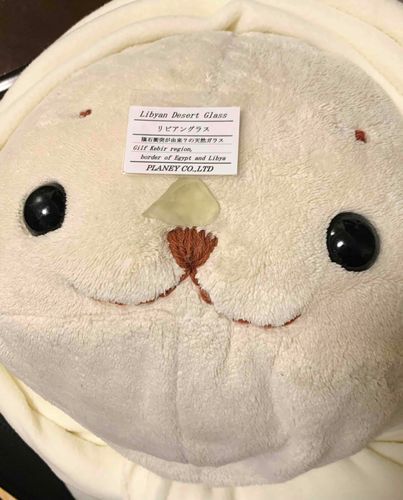 おはなにのっけている石は、なんと隕石衝突でできたてんねんガラスなんだって💠ろまんだね〜
もしおまめに隕石が衝突したら、このかわいさのまま美し〜ガラスになっちゃうかもね…😮‍💨そしてはくぶつかんとかで飾られちゃうかもね？