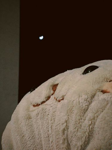 みんな〜つきが綺麗だよ🌛