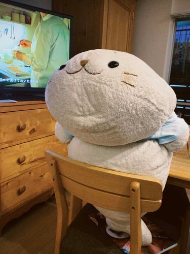 じっかのしろたん「きゅるちゃん」を紹介
自称パリ出身のお高くとまってるあざらし…🇫🇷
おまめのてごわいライバルなんだ😤

(きゅるちゃんはというと、おまめに対してあまり感心がありません)