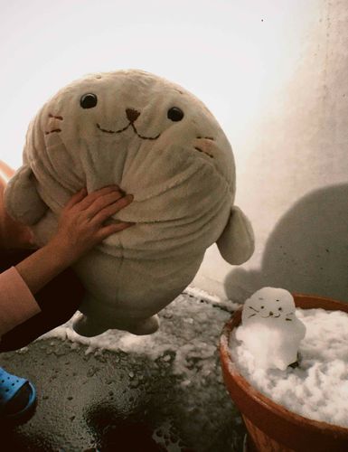 ゆきだね〜⛄️
みんな転んだり、かぜひかないように気をつけてね