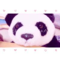 こぱん