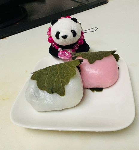 きょうは かしわもちたべるよ〜🍽️