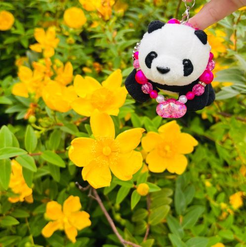 おはな みつけた〜🌟🌼