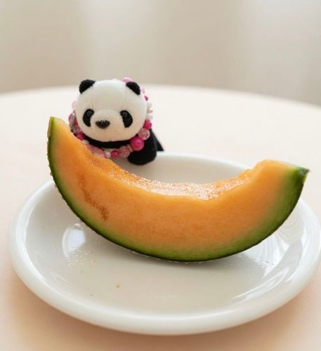 きょうのおやつはメロンだよ〜🍈