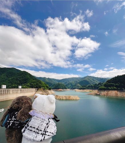 奥多摩湖
今度は海も見せたいな