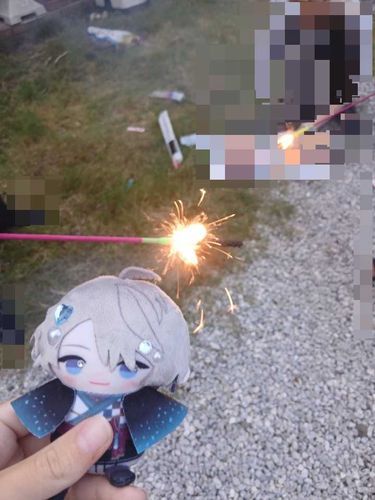 にんげんさんと花火！！！！！