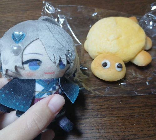 かめさん！！！