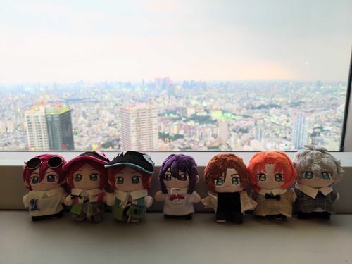 友だちのぬいさんたちとお出かけであります！
いい眺めでありますな〜！