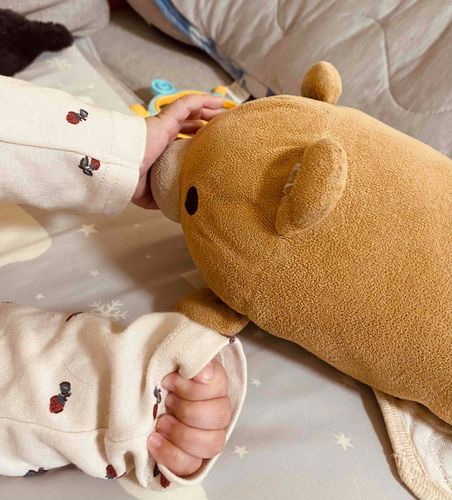 ご主人の姪っ子ちゃんとあそんだちー。恥ずかしがり屋なのかな？