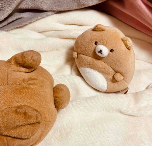 ぼくはきょむ、しんいりさ。いつかくまちーさんをこえてみせるきょむ。