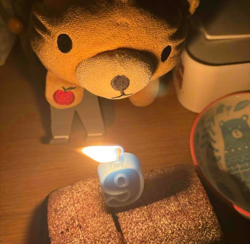 くまちー、9歳のお誕生日おめでとう🎉（本当は明日が誕生日）