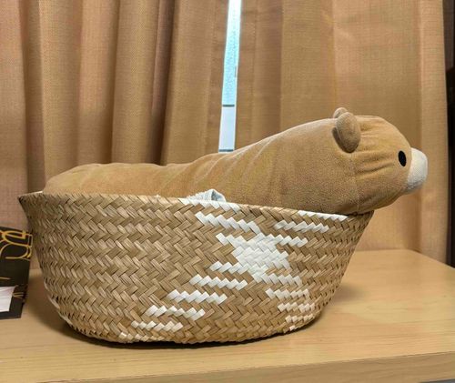 なんかすたいるよくみえるちー！