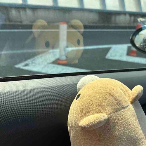 すっごくはやくてびっくりだちー！！
おでかけだいすきだち！