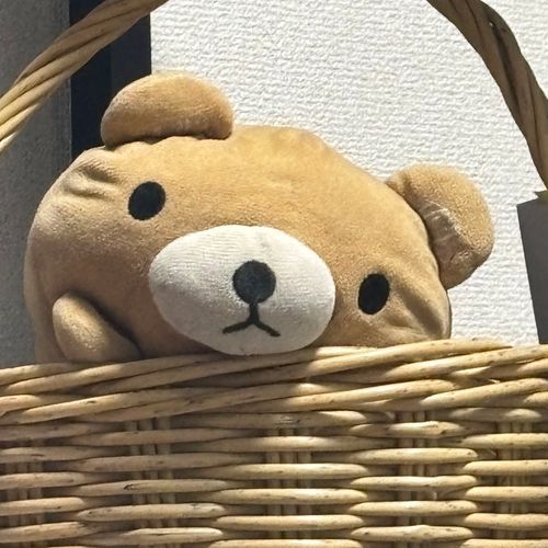 12ねんのつきあいだちー。
ぼくもとしをとったちー…。