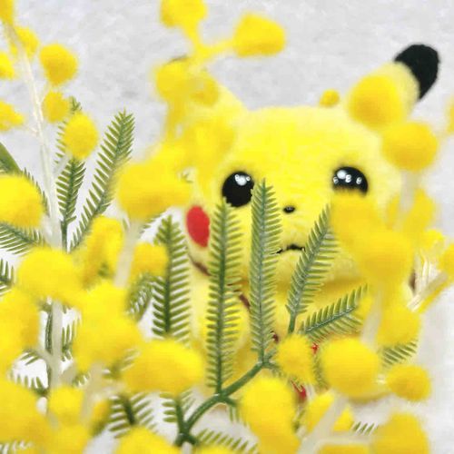 ぴかちゃんと　おなじいろのおはな
ミモザっていうんだって