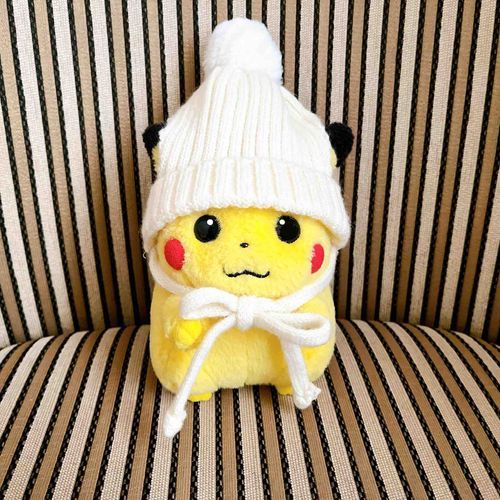 ちょっと前　
ぴかちゃんは　にんげんと
初めてのお出かけしたの