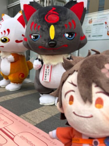 黒いこんのすけだー‼️