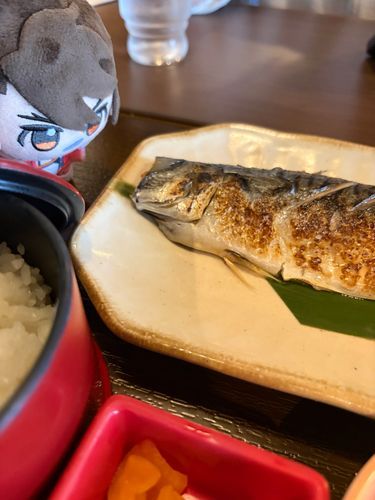 さかなが、わしをみている……?