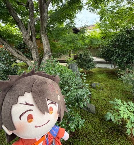 あるじ、おはよう〜
いつまでもへやのなかでゴロゴロしちゃあせんでわしちょいっしょに本丸の外にさんぽいくか？