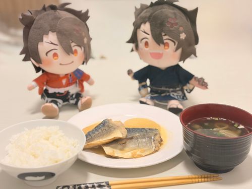 今日の夜ご飯は鯖の味噌煮です‼️
今日からお世話になる軽装むっちゃんがお家に来たので得意料理の鯖の味噌煮を作りました🥰🥰🥰

美味しそうに食べててよかった🧡