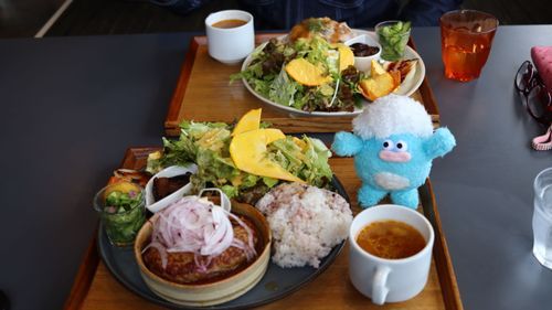ハンバーグおいしかったね🍽🩵