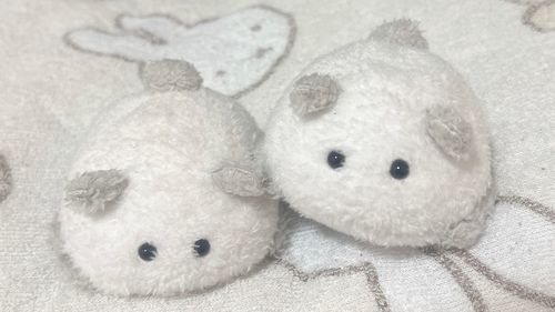 ふわふわもちもち𐔌՞.  ̫ .՞𐦯