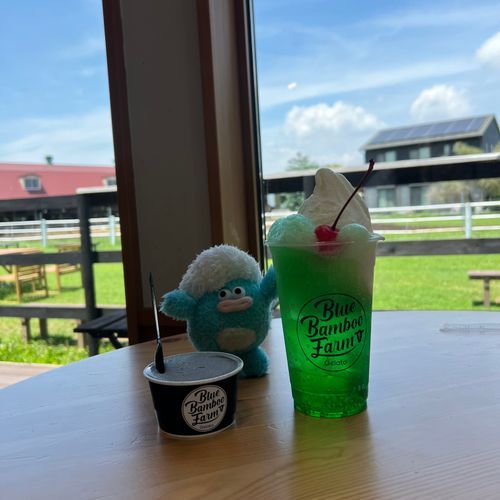 牧場の黒ごまジェラート大変美味でした🍨🤍
