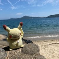 めたちゅう
