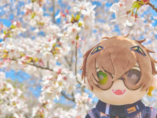 🌸🧡