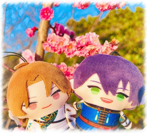 🐅🐉🌸