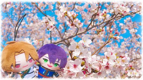 ☀️🌸