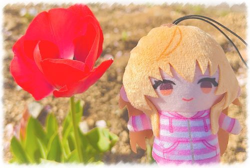 🌷