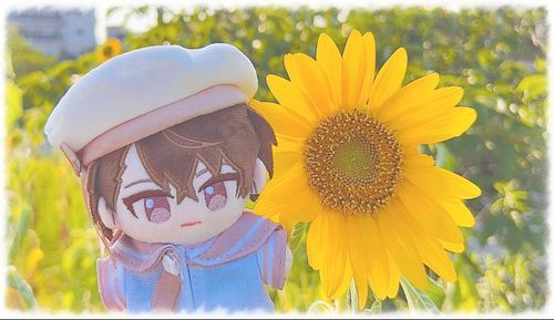 🌻