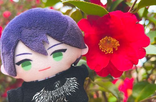 🌺