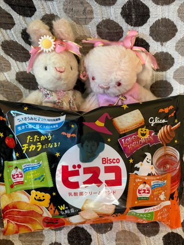 はろいーん❣️🎃👻
といても、とくべつなことはしてないよ。
おかあさんが、このおかしをくれたの😊びすこ、ていうなまえなんだね。

おしゃしんをのせるとき、びすこに、こどものかおがあるからさいしょのせられなかたんだよね💦
それでおかあさんに、ちょといろぬてもらたらおけーだた👌こんぴゅーたさんて、すごいね🫢