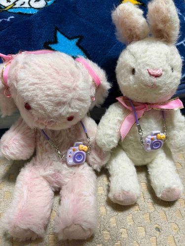 もこだよー🐰🎀

どうしてもおしゃしんのせたくて、もうひとつ。
おかあさんが、うさ子ちゃんともこに、おそろいのかめらをかてくれたの‼️📷💖うれしい〜😆😆
よくみると、かめらについてるりぼんのいろが、すこしずつちがうんだ。うさぎさんや❤️もついてて、かわいの🥰