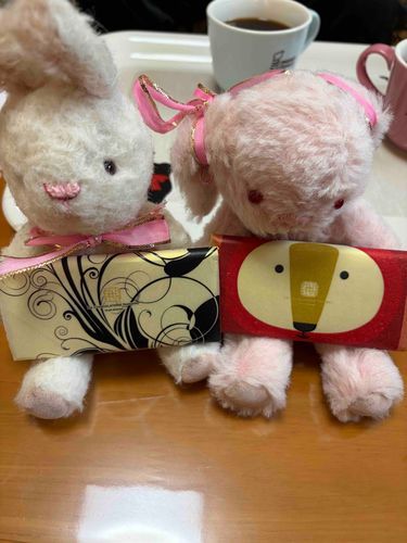もこうさ子だよ‼️
これねー、🍫ちょこれとなんだよ✨おにいちゃんと、おかあさんのおとうさんと、3にんでちょこれとのせんもんてんにかいにいたのだよ😋

ちょとたかかたけど、おいしい•••とおもう🫢