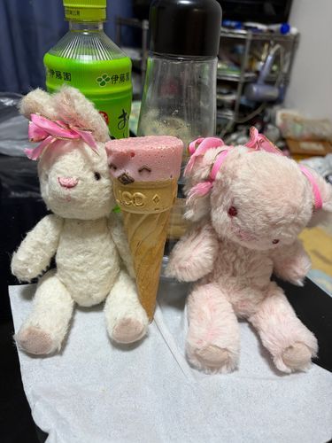 もこうさ子だよ！みんなおはよー😃

みてみて！このおかし、おかおがあるんだよ(^｡^)かわいよね🤭💕

このまえ、おにいちゃんがたべるときに、たまたまでてきたんだ。
かわいおかおしてたし、だいすきなぴんくだたから、さんにんでおしゃしんとてもらたの📷✨