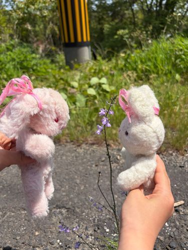 んーーー。
これは、なんのおはなかな？
ふたりでじーとみてるんだけど、わからないや😖💦