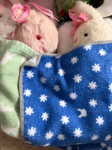 おかあさんがきてくれるまで。
もこうさ子は、なかよくいいこに、ふたりでねんねんしてるんだ😴

かけぶとん、ほんとはおにいちゃんのはんかちなんだけどね😅