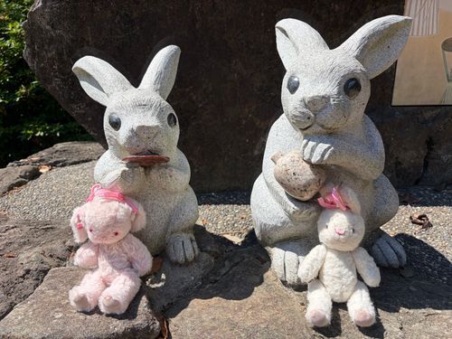 でんしゃたびでついたのは、ここだよ！このおしゃしんで、わかるひといるかなぁ？

せいかいはー•••

「いずもたいしゃ」ていうところだよ‼️とてーもゆうめいなじんじゃさん？なんだよね⛩️
まさか🐰さんがこんなにたくさんいるなんて💦ごあいさつできて、うれしかたけどね☺️