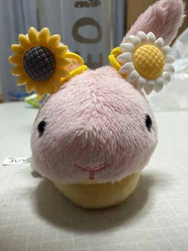 ここです。
ばあっ！！


おみみにつけてもらった、ひまわり。
かわいいでしょう？🌻🐰🌻

こんかいは、もこうさ子ちゃんをさしおいて、ここがひとりでとうじょうしてみたよ😁