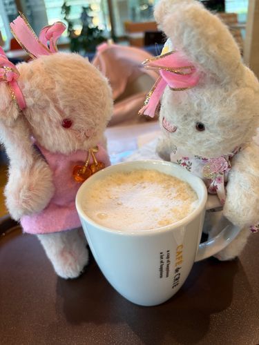 もこうさ子だよー！！
まいにちあついね🥵☀️

でもあかたいのみもののむのよ。
ふーふーしてからね✨😉