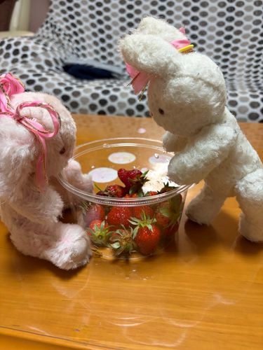 これは、まだいちごさんがうれてたときのおしゃしん。
はやくたべたくて、もこは、そわそわして「うたっち」しちゃたよ〜😅

『もこ、おちついて・・・』て、うさ子ちゃんにいわれちゃた🤣