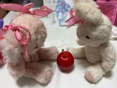 だいすきな、しゃりしゃり。
きのうのよるは、おにいちゃんがひとりでまるごと1こたべちゃた！
もこうさ子もたべたかたのにー‼️
にーーー！！！😫💦

きょうは、ふたりでなかよく、はんぶんこするよ。ちちゃくてかわい、しゃりしゃり🍎💖