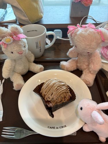 このまえの、おやつー🎶
みんなでたべた、もんぶらん、ていうの🌰🍰おいしかたよ！

ここちゃんが、じりじりと、もんぶらんにちかづいてたよ😓
おくちがよごれちゃうー😵💦