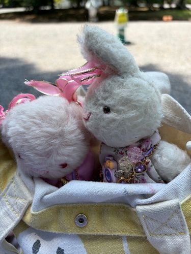 きょうは、きょとりょこうにきてるの！
いまは、きょとごしょにいるよ！
てにもつけんさ、とかで、かばんのなかをごそごそおじさんに見られたよ！
かばんのそこから、ぎゅむぎゅむてつかまれて、おしりやあしもさわられた😵‍💫💦