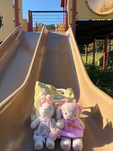 こんにちは!もこだよー。
きょは、こうえんへあそびにきたよ☀️🛝かぜがちょとさむい?て、おもたけど、おひさまがあたると、あかたい〜☺️☺️
すべりだいを、しゅーしゅーとおりてみたよ🐰🎀🐰